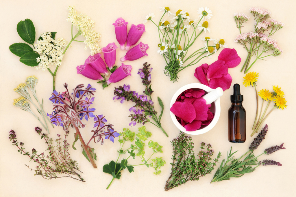 verschiedene Blumen und eine Ampulle verschiedene Blumen und eine Ampulle