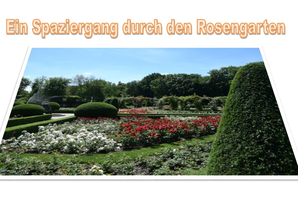 Rosengarten Rosengarten