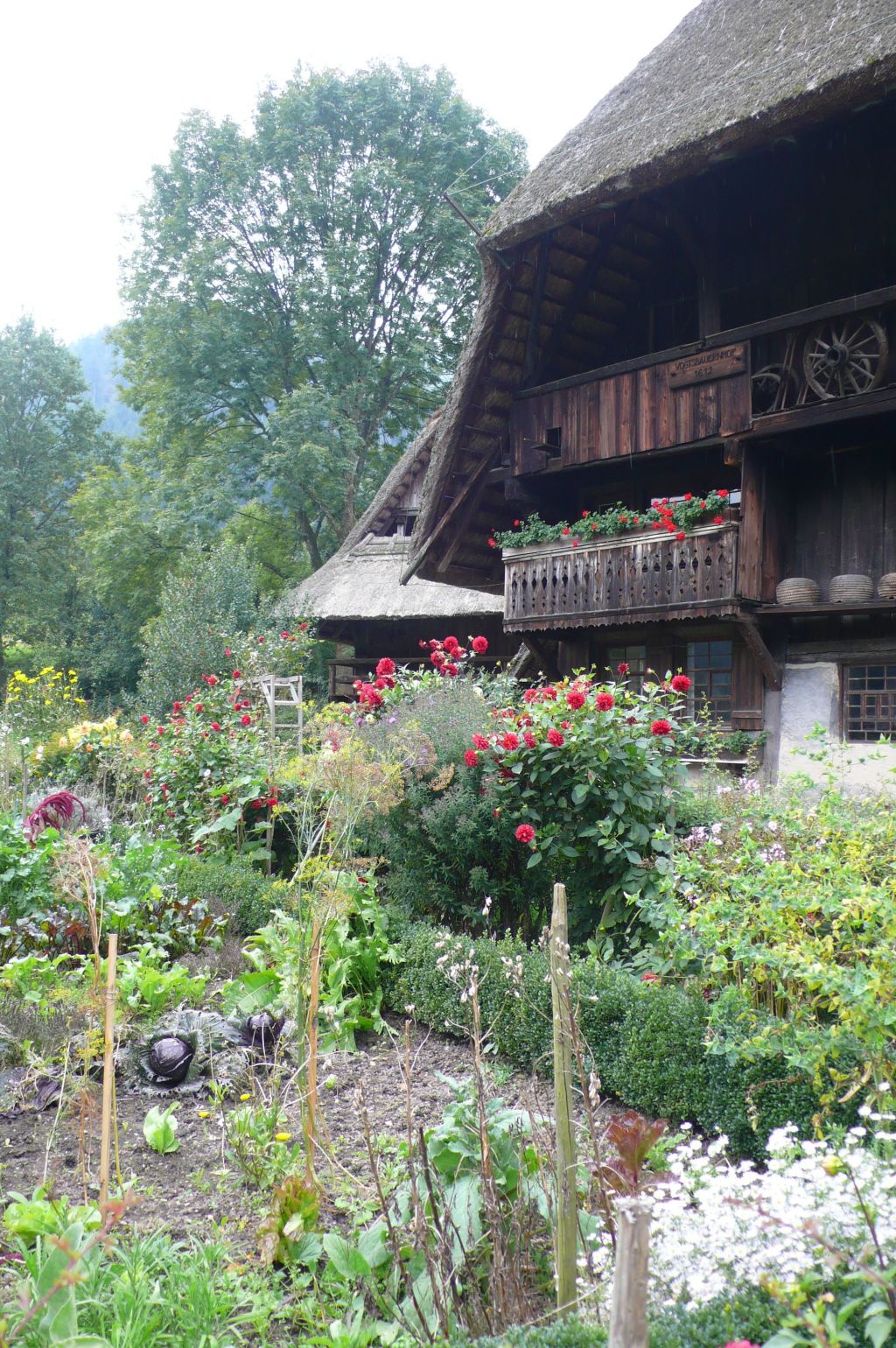 Vogtsbauernhöfe 30 Vogtsbauernhöfe 30