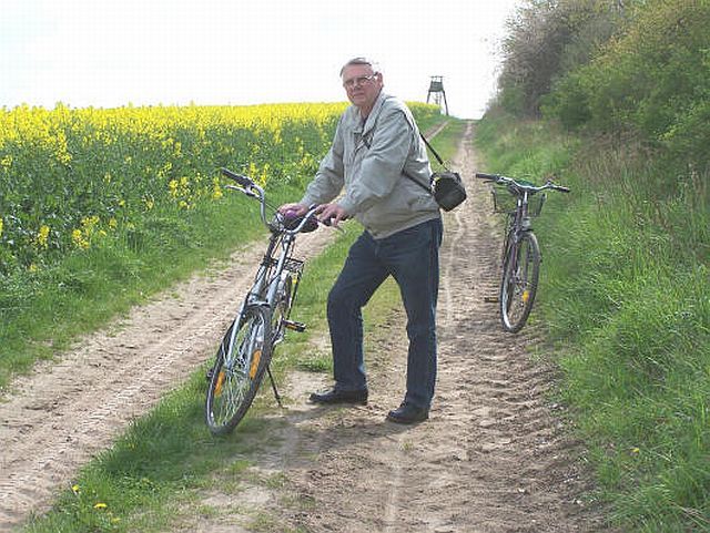 Frühling Frühling