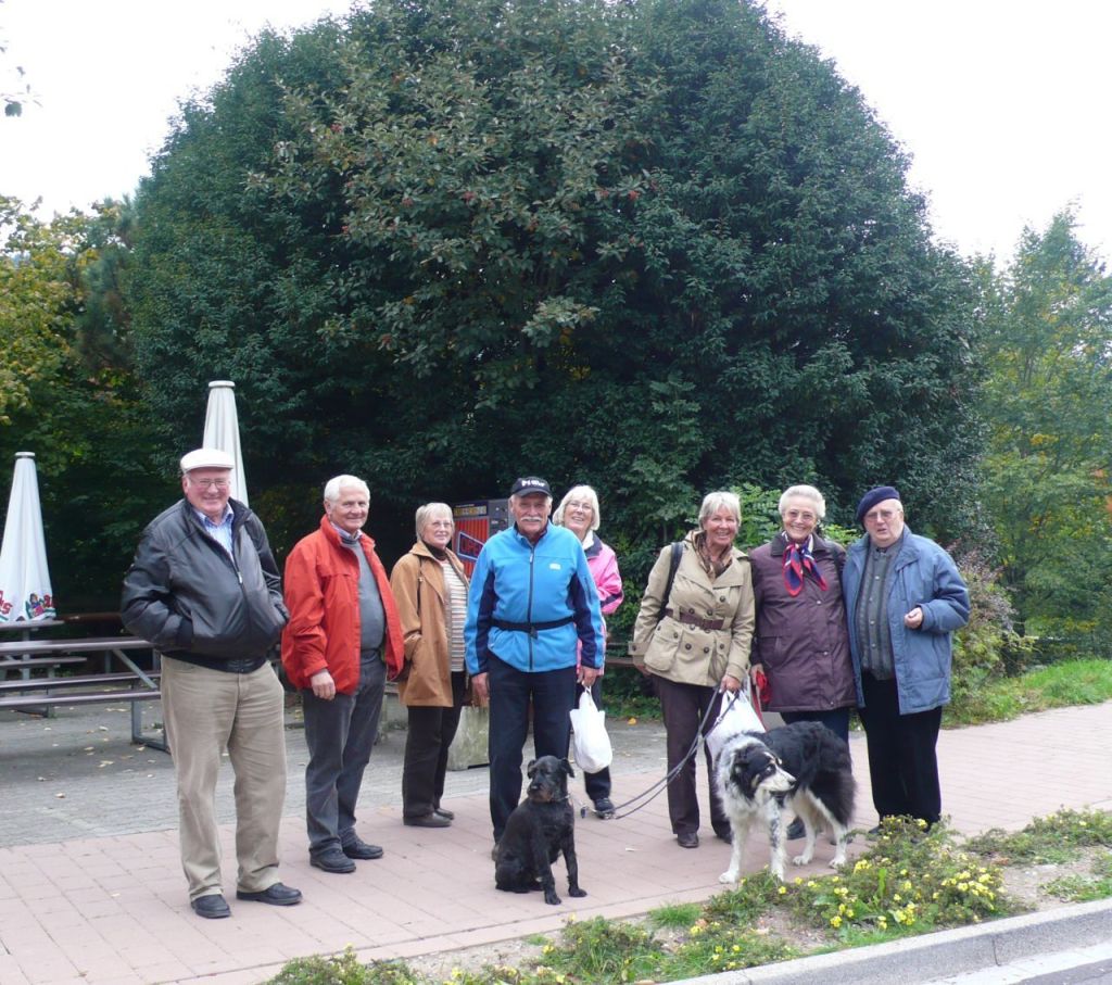Vogtsbauernhöfe 48 Vogtsbauernhöfe 48