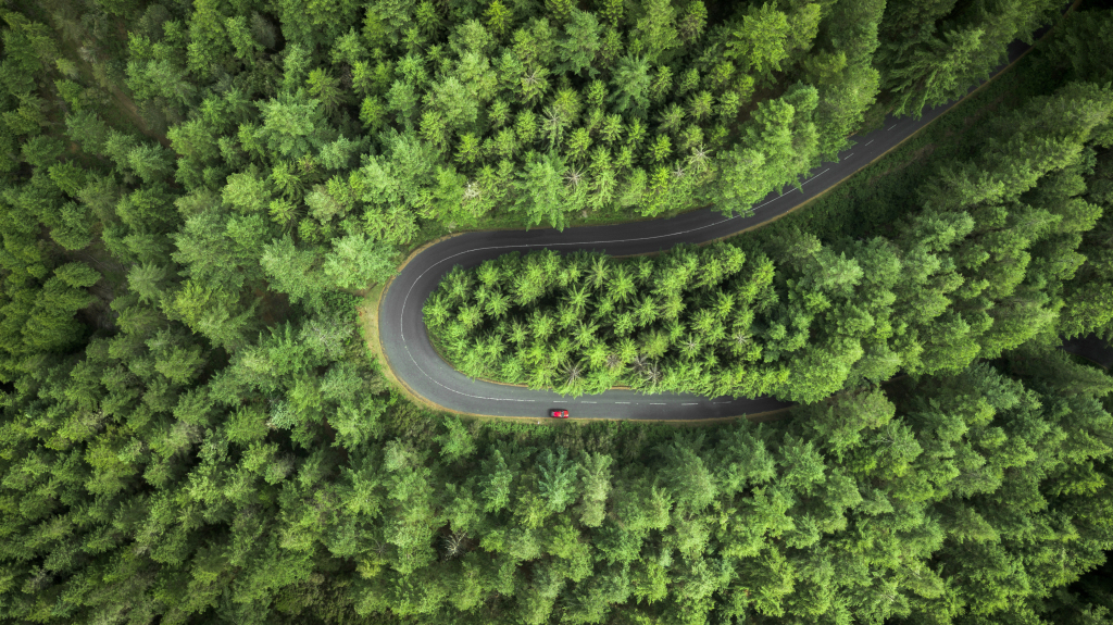 Ein um die Kurve fahrendes Auto im Wald Ein um die Kurve fahrendes Auto im Wald