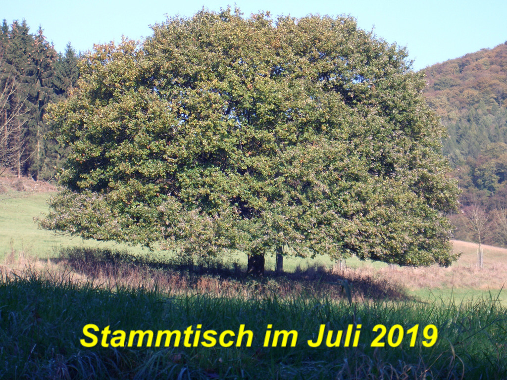 bild bild