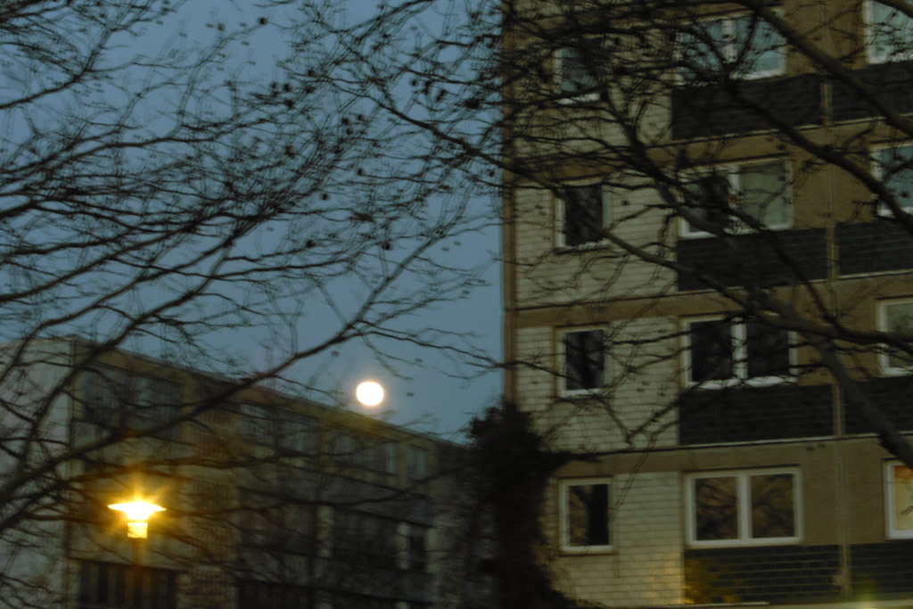 Mond Mond