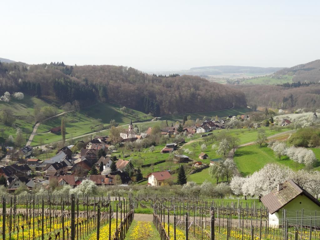 Eggener Tal Eggener Tal