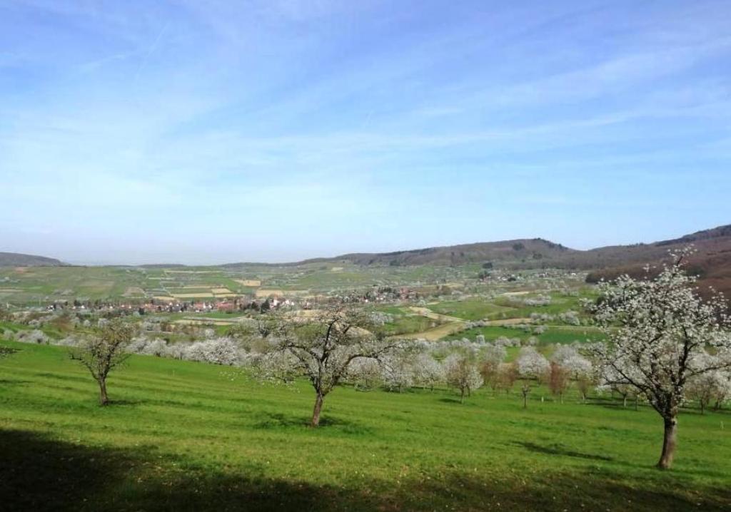 Eggener Tal Eggener Tal