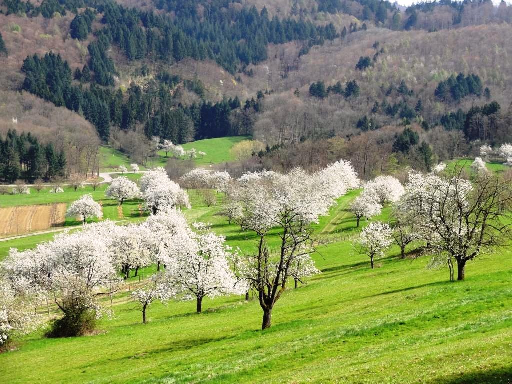 Eggener Tal Eggener Tal