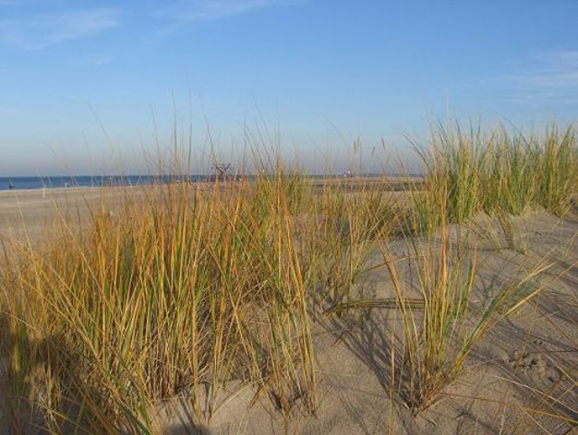 warnemuende2 warnemuende2