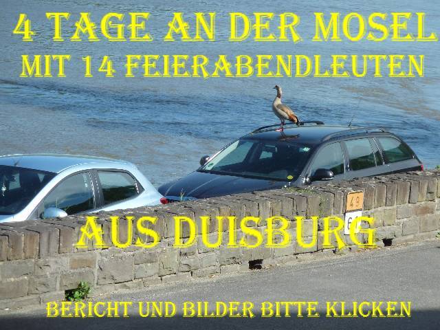 bild bild