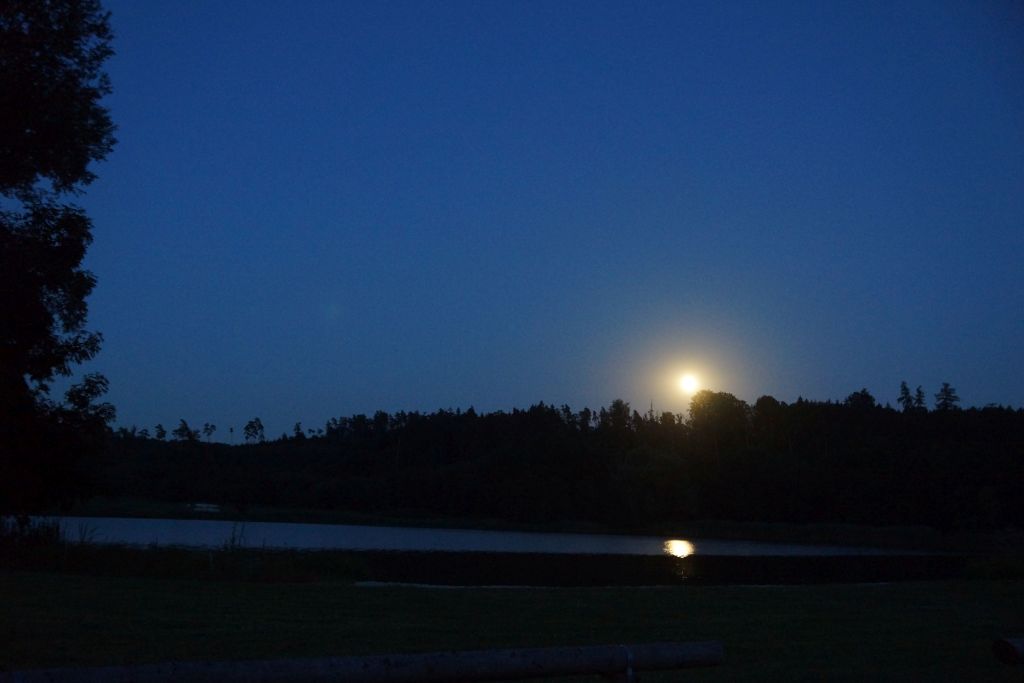 mond mond
