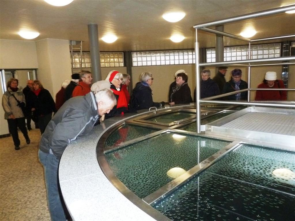 Wasserwerk Wasserwerk