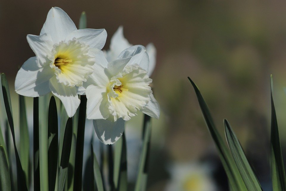 Ostern 2020 2 Ostern 2020 2