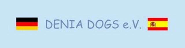 deniadogs deniadogs