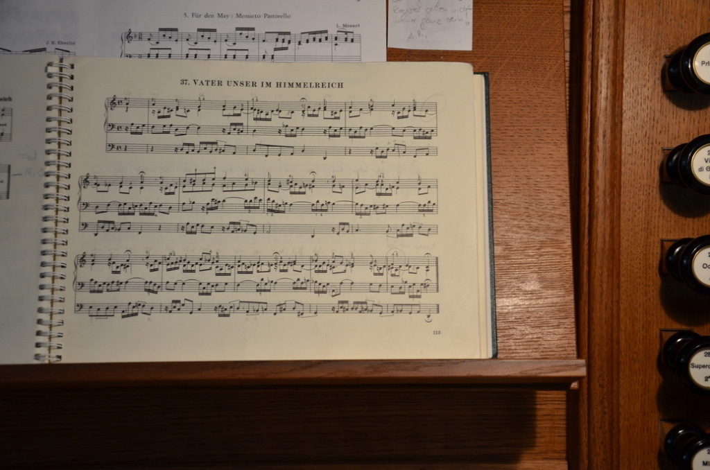 DSC_0194 DSC_0194