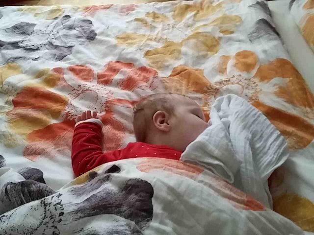 Zoey schlaft Zoey schlaft