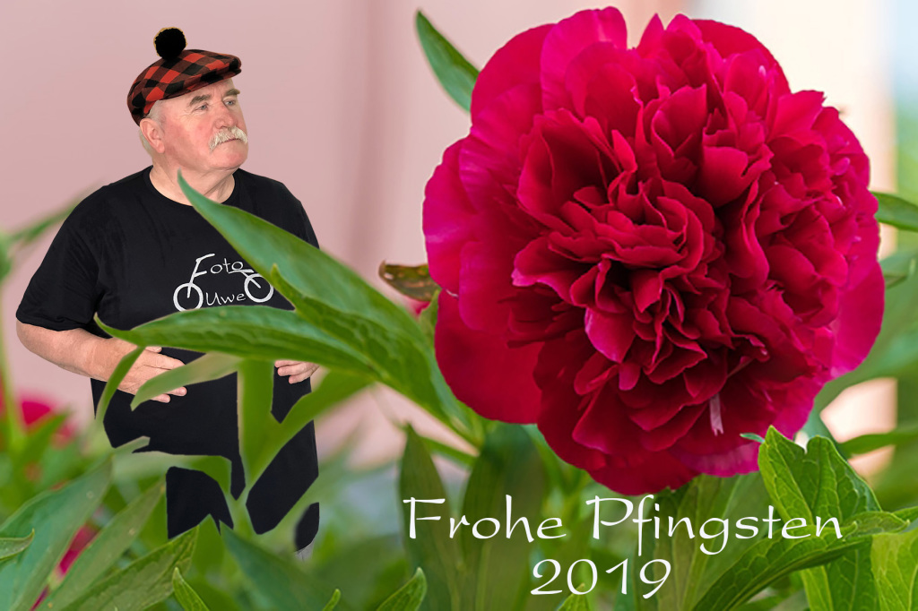 Frohe Pfingsten 2019 Frohe Pfingsten 2019