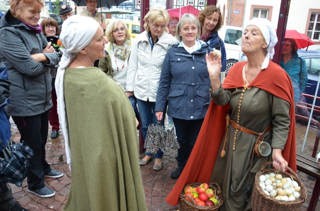 DSC_0043 DSC_0043