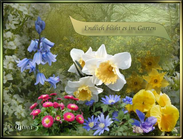 Frühling im Garten Frühling im Garten