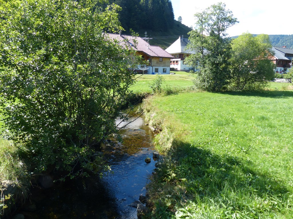 Menzenschwand Menzenschwand