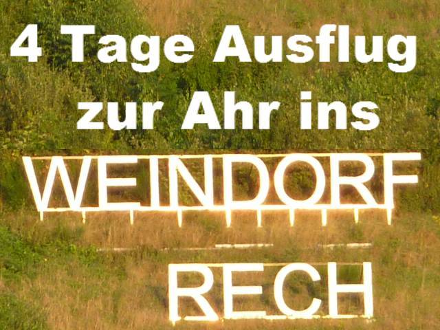 bild bild