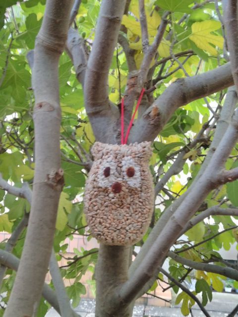 Vogelfutter Vogelfutter