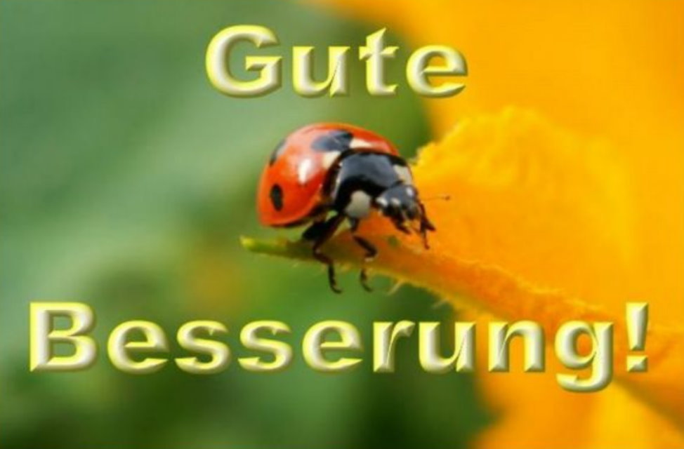 Gute Besserung Gute Besserung