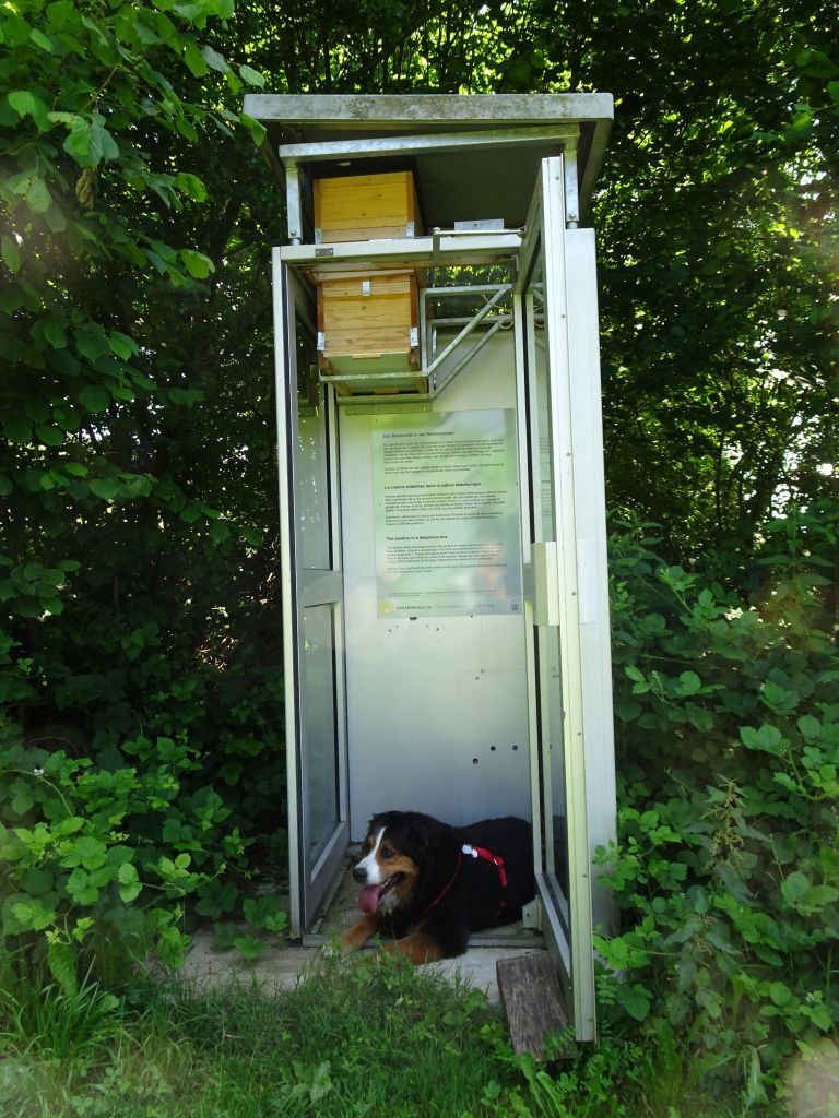 kräuter kräuter