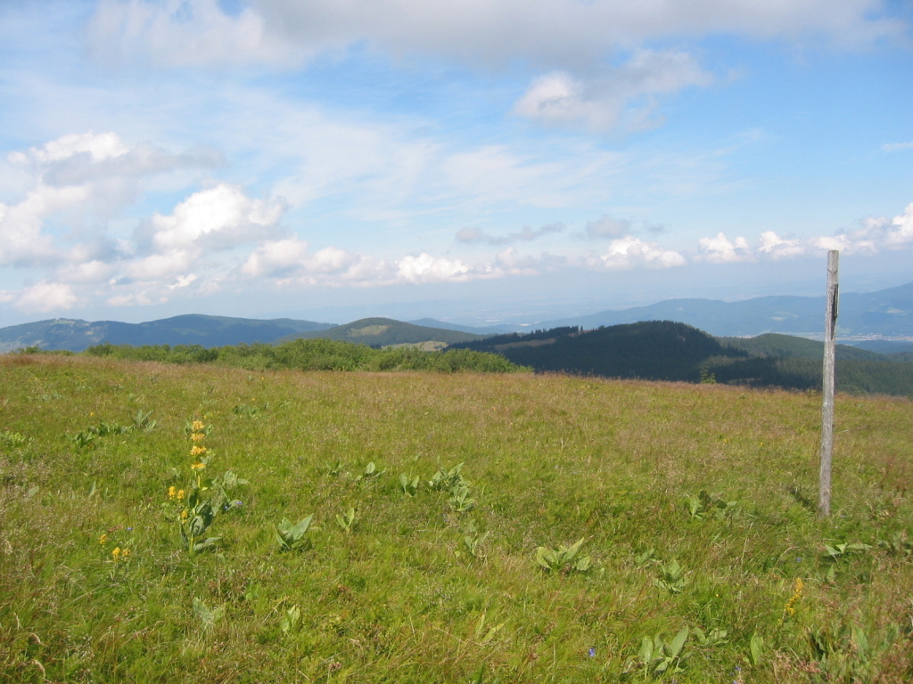 Feldberg 35 Feldberg 35