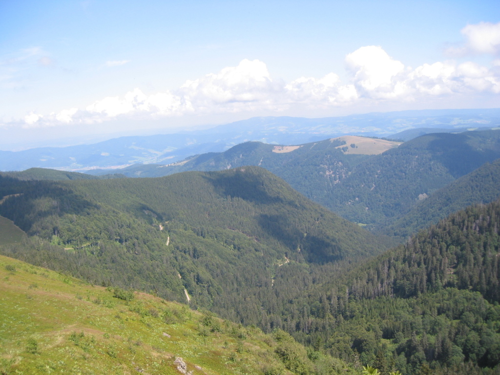 Feldberg 43 Feldberg 43