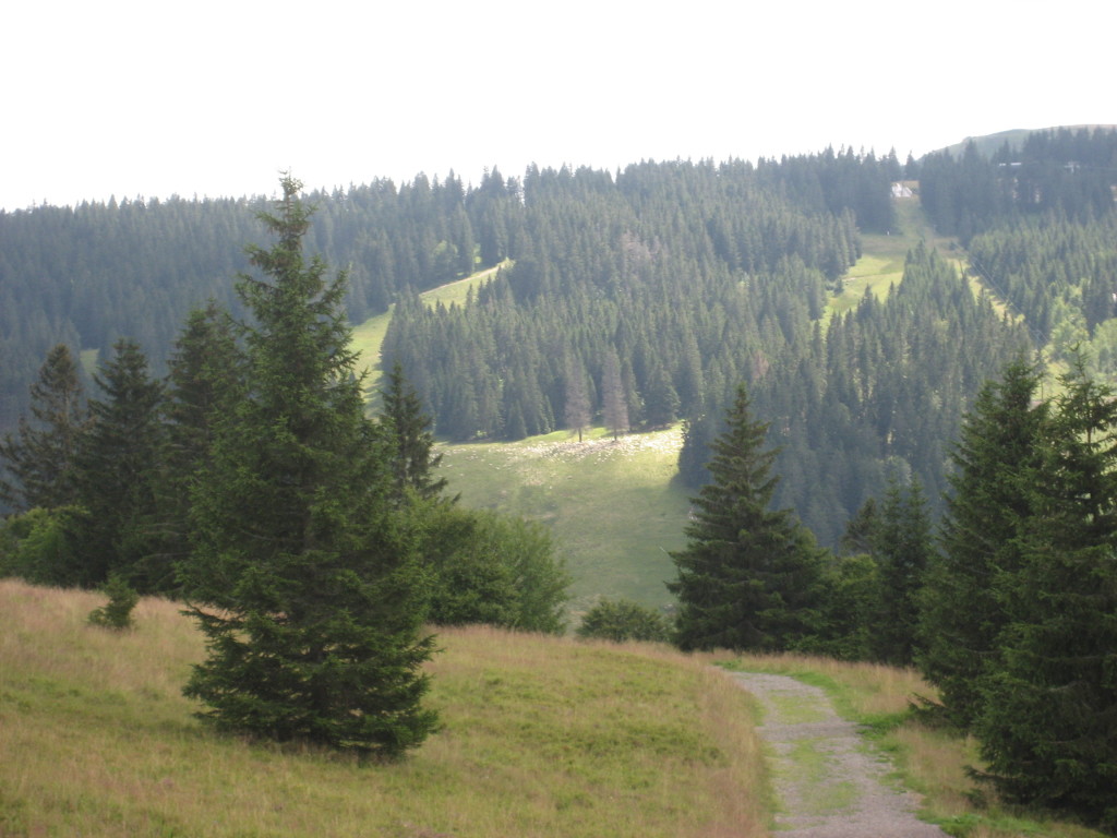 Feldberg 47 Feldberg 47