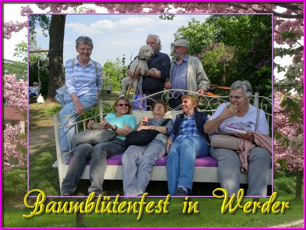 Baumblüte2018_01 Baumblüte2018_01