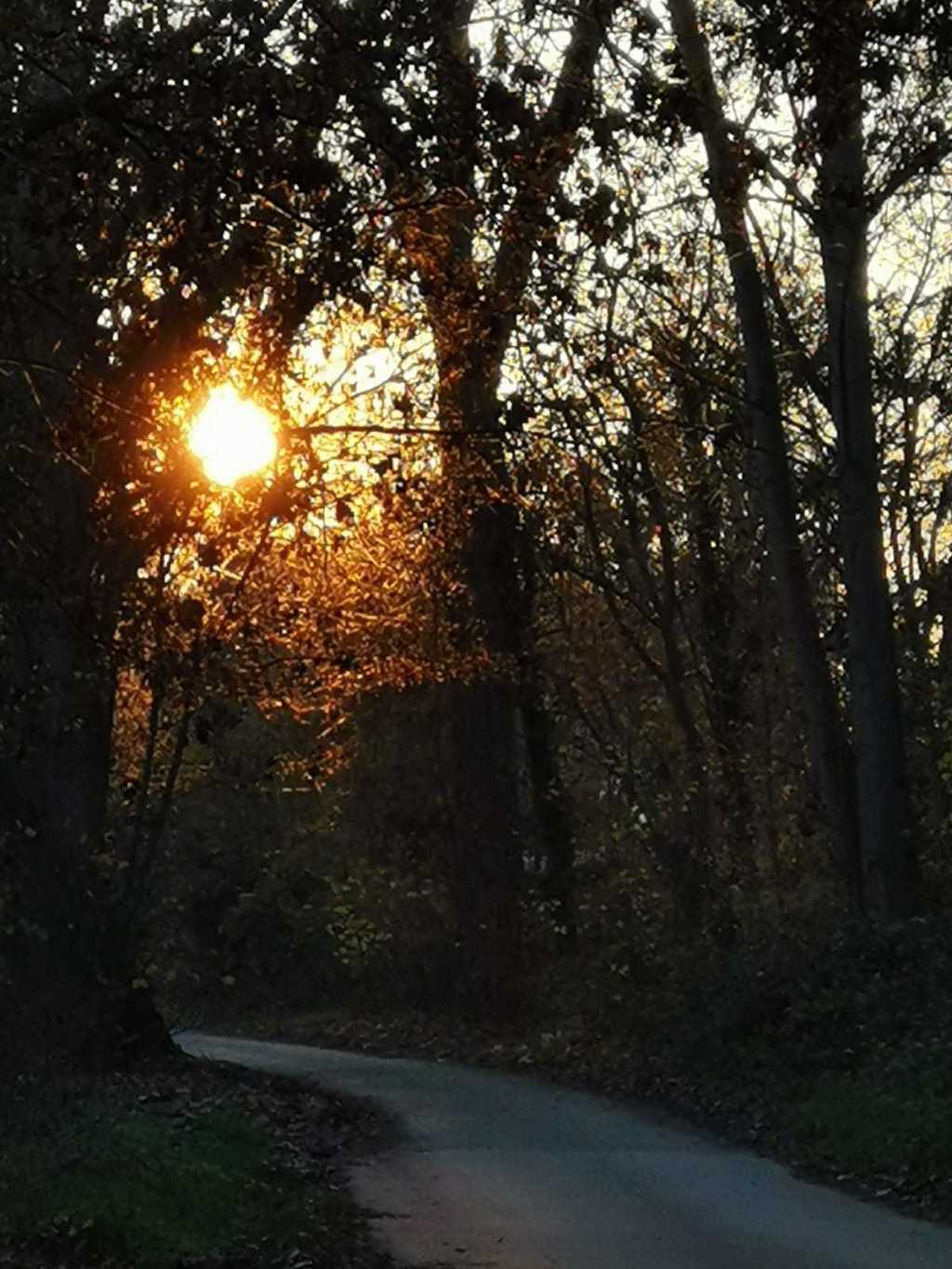 Sonnenuntergang_Gritle Sonnenuntergang_Gritle