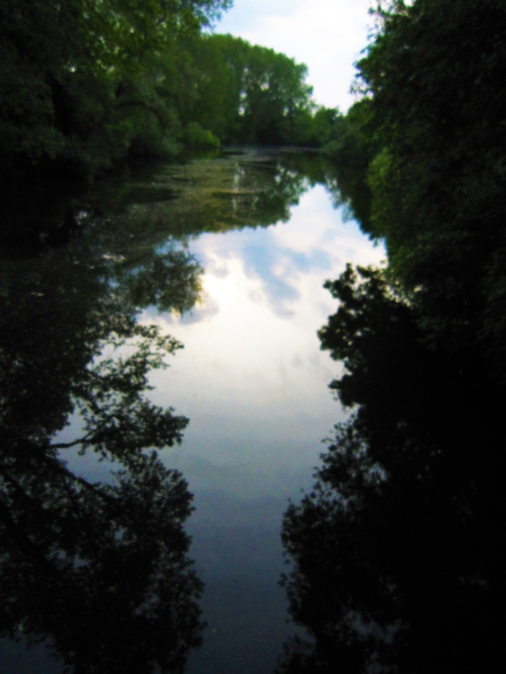 Leineauen Leineauen