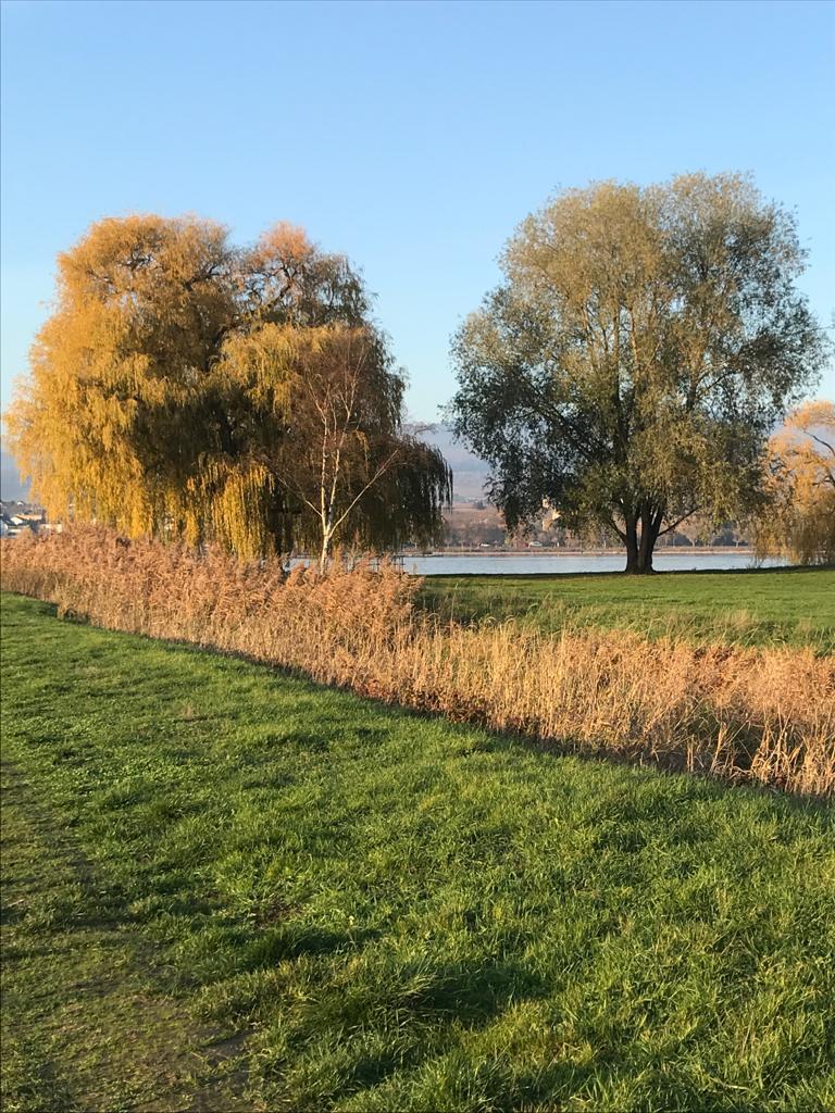 Spaziergang am Rhein_nighty Spaziergang am Rhein_nighty