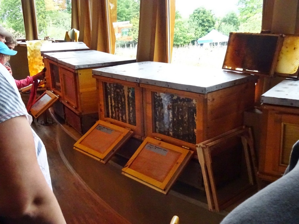 Bild 089 Bild 089