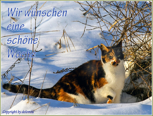 Feierabend Feierabend