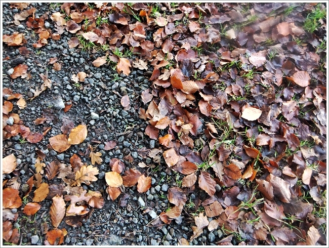 Landschaft Landschaft