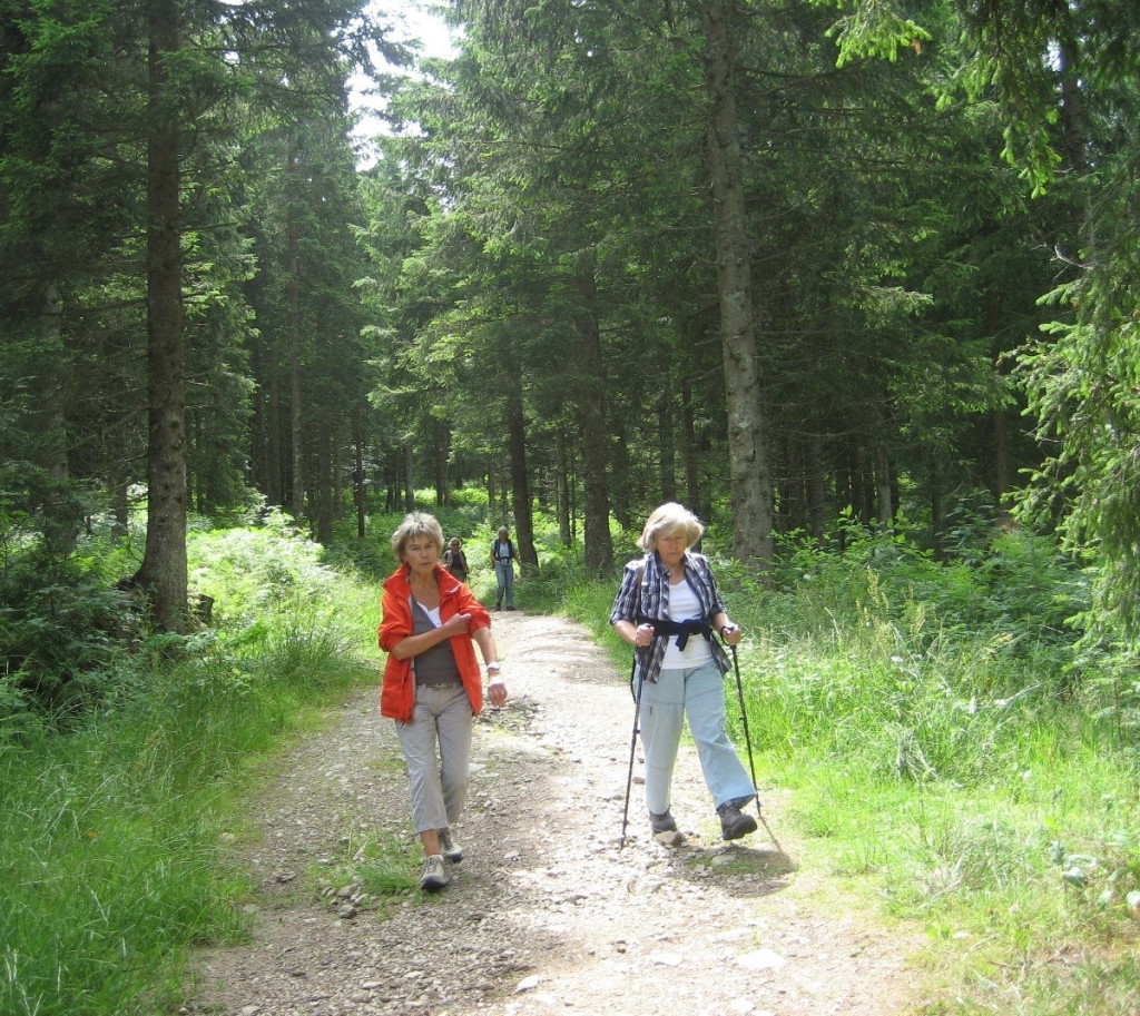 Wanderung mit Trudel Wanderung mit Trudel