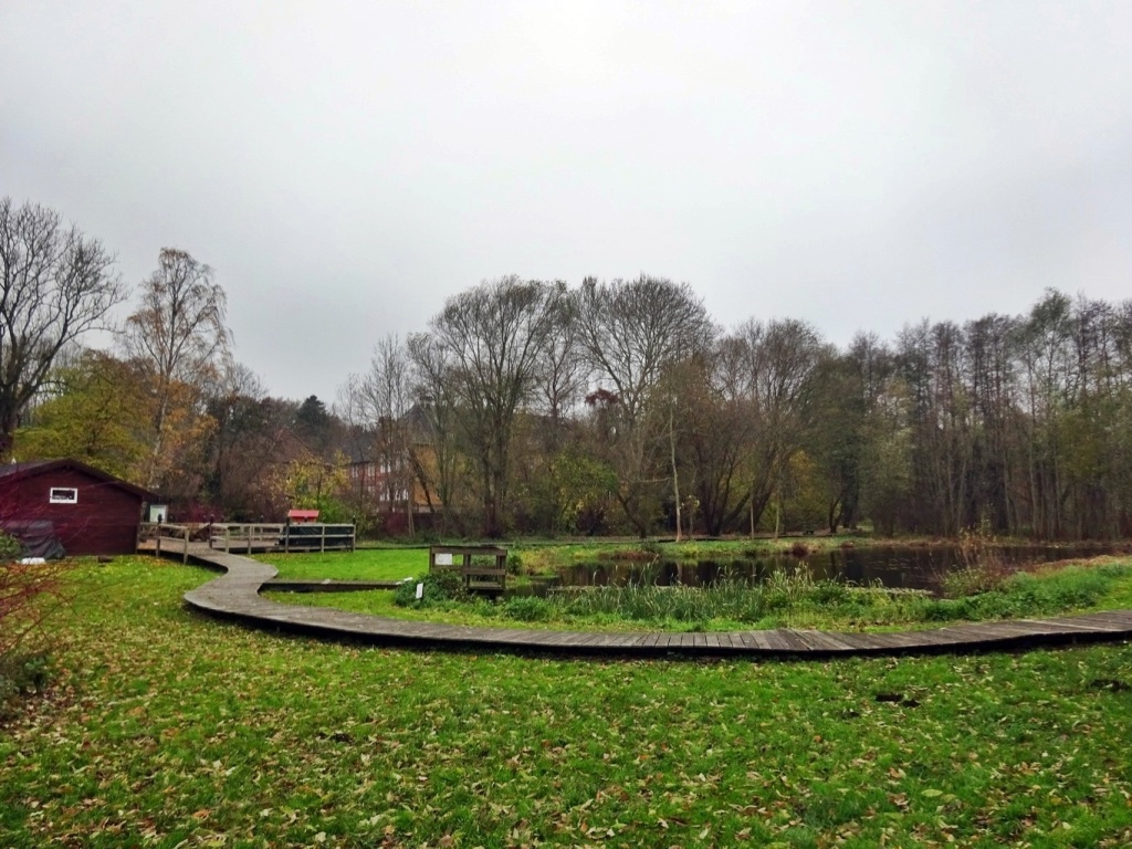 Bild 008 Bild 008