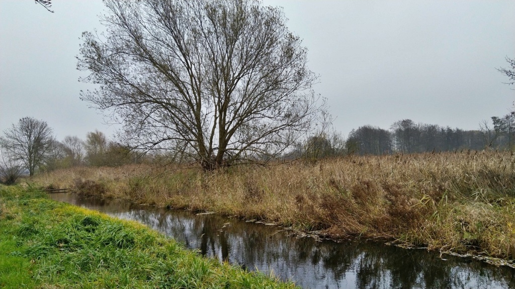 Bild 031 Bild 031