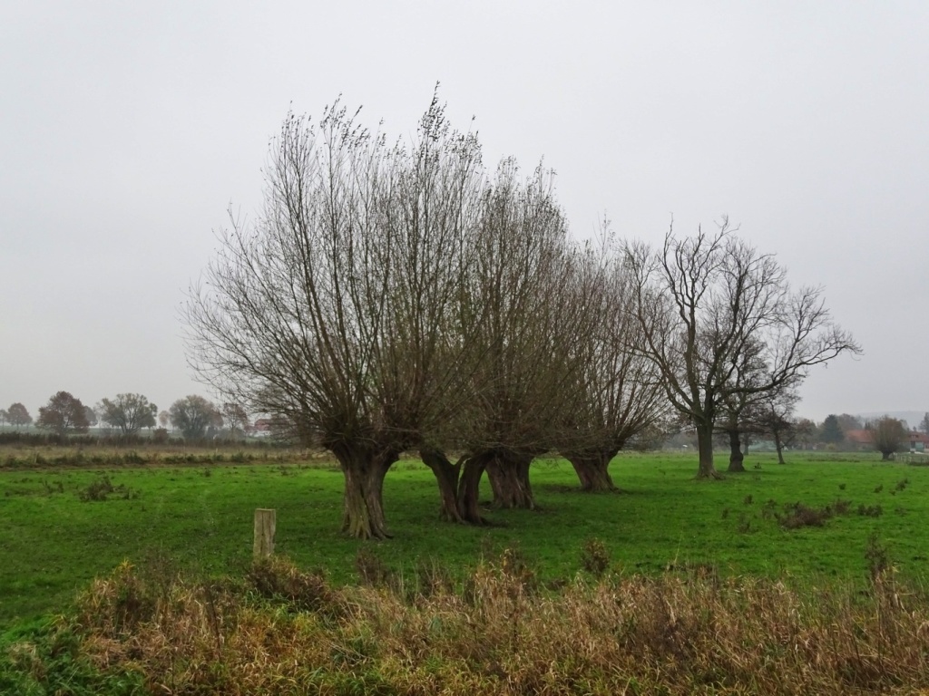 Bild 051 Bild 051