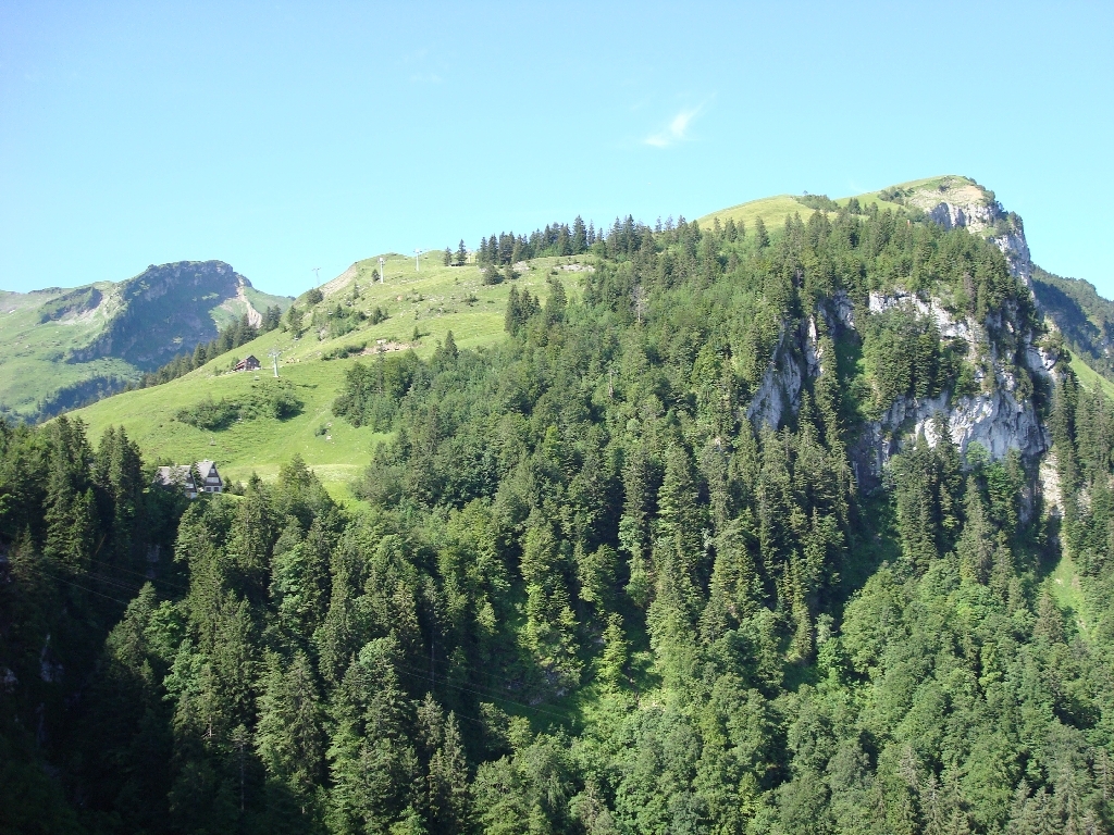 edel_weiß01 edel_weiß01
