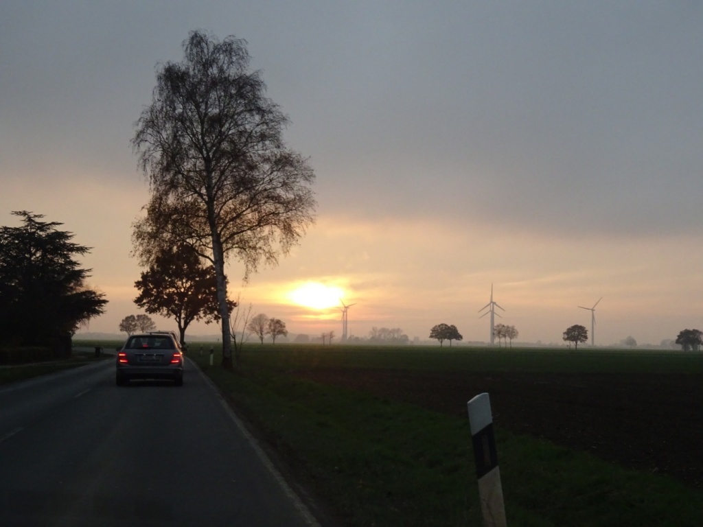 Bild 176 Bild 176