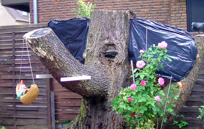 Elefantenbaum © Feierabend.de-Kolumnistin Veronika Elefantenbaum © Feierabend.de-Kolumnistin Veronika