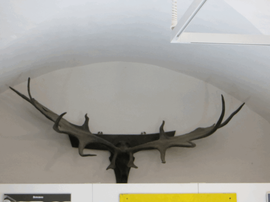 museum museum