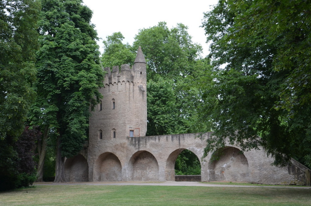 DSC_0175 DSC_0175