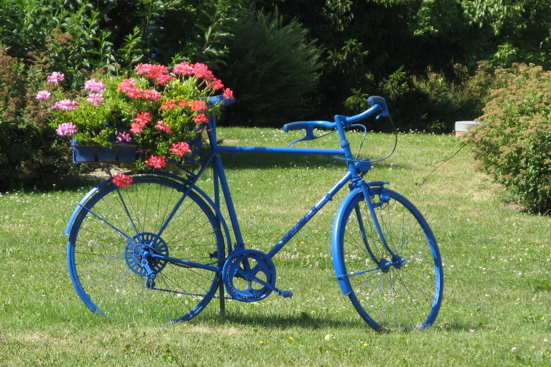 sommer sommer