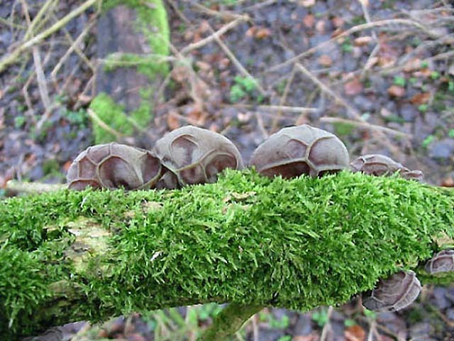 Ausflüge Aus Düsseldorf