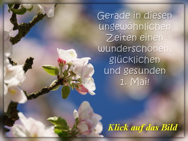 gesunden_ersten_mai 01 gesunden_ersten_mai 01