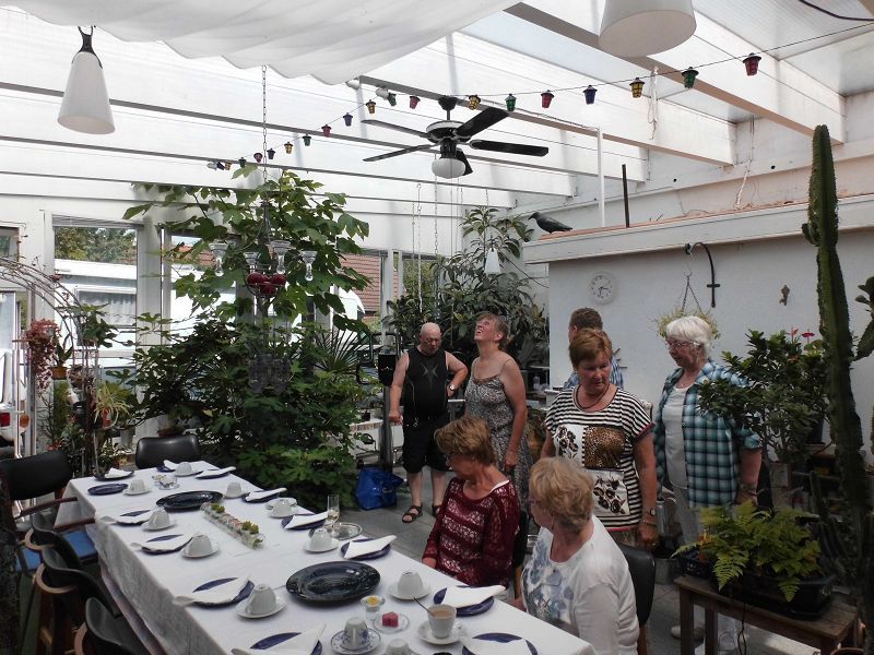 Sommerfest 2015 Sommerfest 2015
